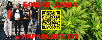 стаф Славгород