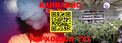 стаф Славгород