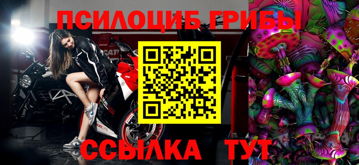 Сокол  Галлюциногенные грибы Cubensis  наркошоп  Вход с VPN 