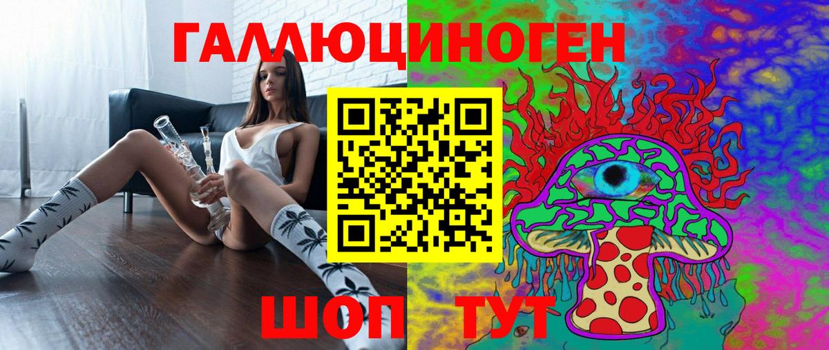 Галлюциногенные грибы Psilocybine cubensis Сокол